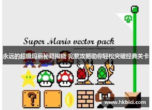 永远的超级玛丽秘籍揭晓 完整攻略助你轻松突破经典关卡